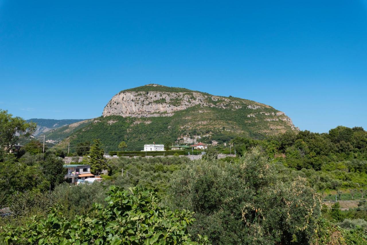 Villa Anna - De Vivo Realty Piano Di Sorrento Esterno foto