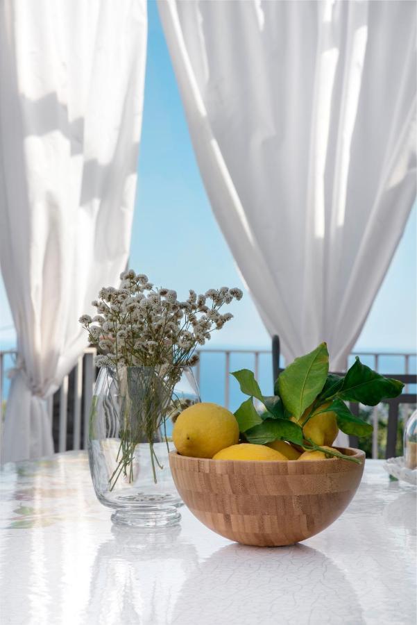 Villa Anna - De Vivo Realty Piano Di Sorrento Esterno foto